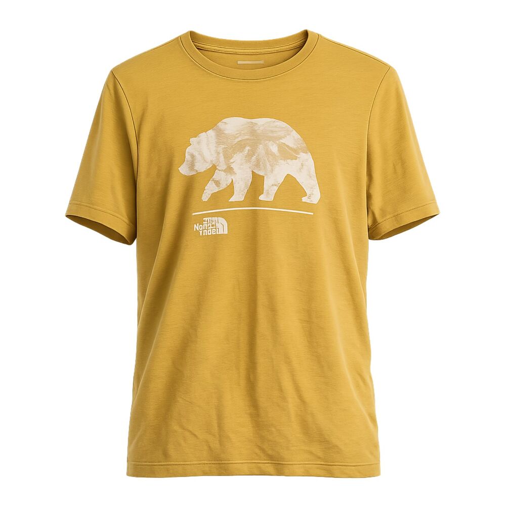 The North Face Men's Evolution Mountain Bear Short-Sleeve T-Shirt L